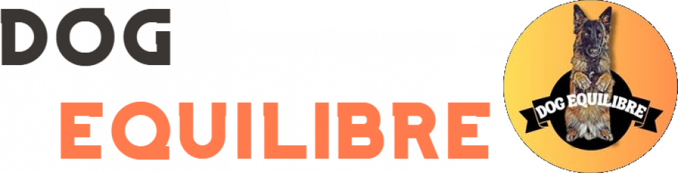 dog-equilibre