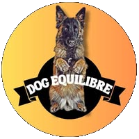 Matt: WordPress, AI, plugins, future of software engineering